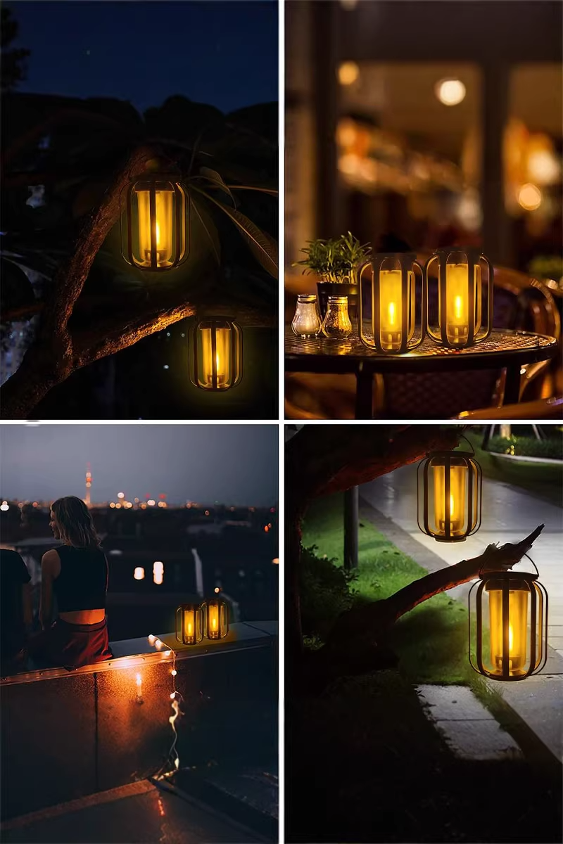 Warm white ambient garden light along garden pathway