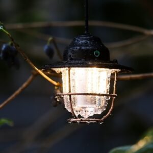 Top hook detail of portable vintage pinecone lamp