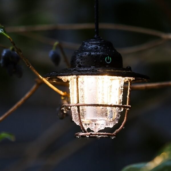 Top hook detail of portable vintage pinecone lamp